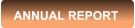 ANNUAL REPORT
